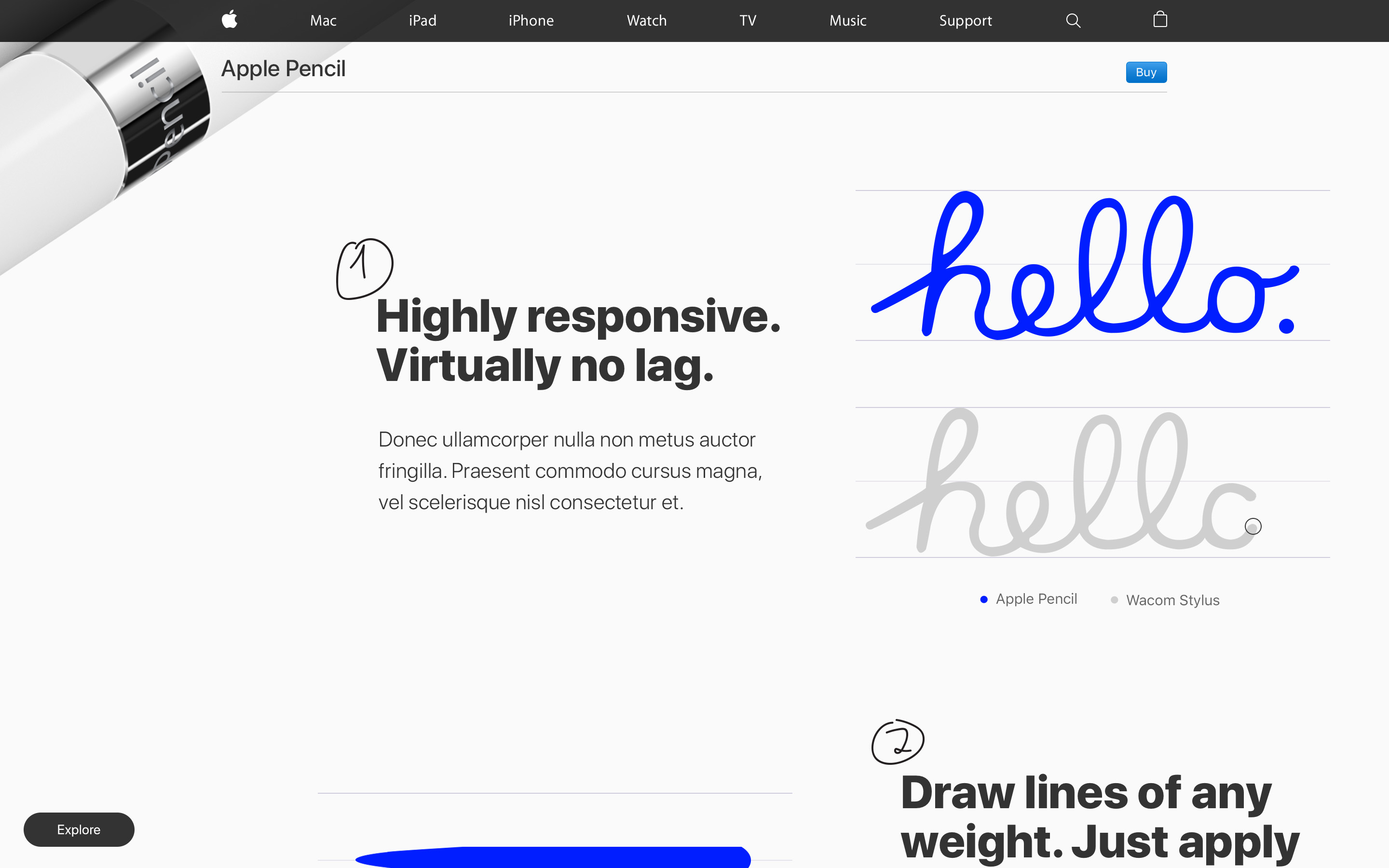 Apple Pencil canvas 1